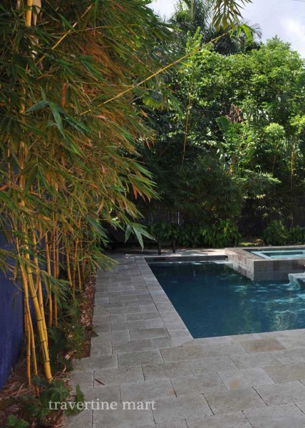 Pale square pavers form a narrow poolside walkway between bamboo planting and blue water.