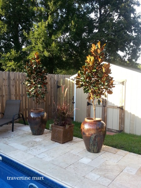 Pale paving runs beside blue pool water and a timber fence, with several potted trees grouped on the deck.
