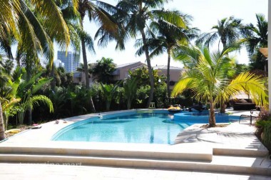 Pale paving surrounds a blue pool with broad front steps and palms planted around its curved edges.