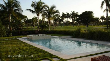 A pale stone edge outlines a rectangular pool beside lawn and tropical planting, with rows of palms beyond.