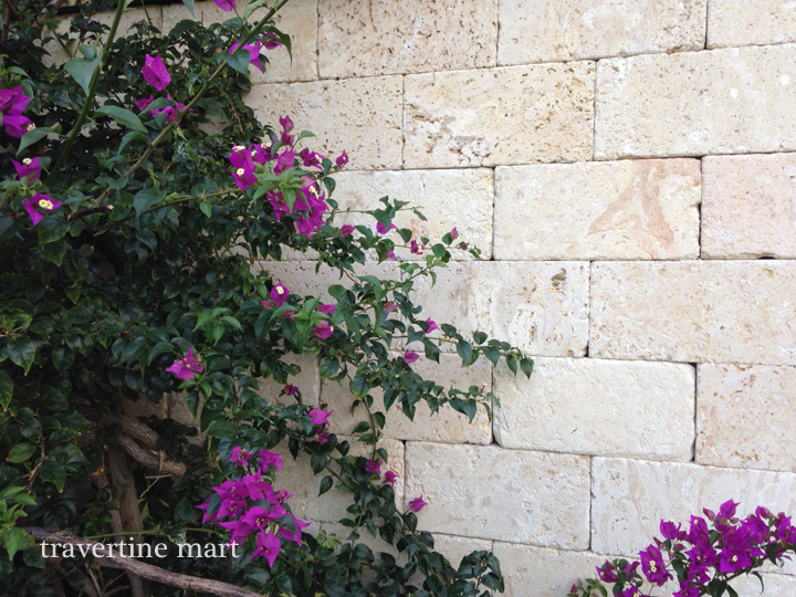 Ivory travertine used in a real garden wall project, beside purple flowers.